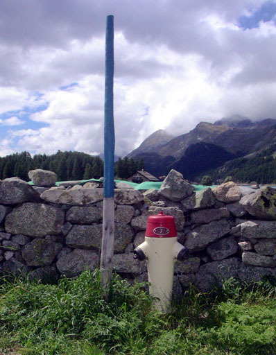 b0038588_2038992.jpg