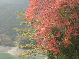 b0061107_19595119.jpg