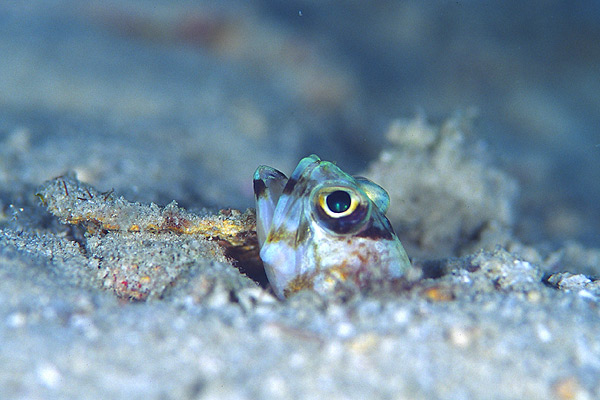 c0064907_3122783.jpg