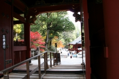 a0036412_17402730.jpg