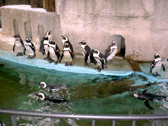 a0054016_16102675.jpg