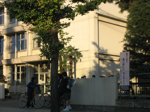 a0030217_2195758.jpg
