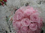 a0052621_19242567.jpg