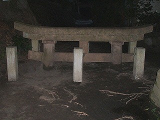 c0038334_23422628.jpg