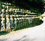 e0082441_119054.jpg