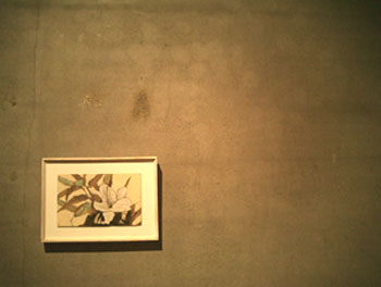 a0065443_17272680.jpg
