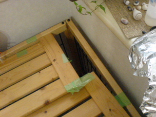c0065643_1991436.jpg