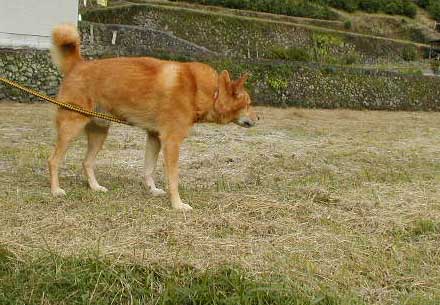 a0054948_18564338.jpg