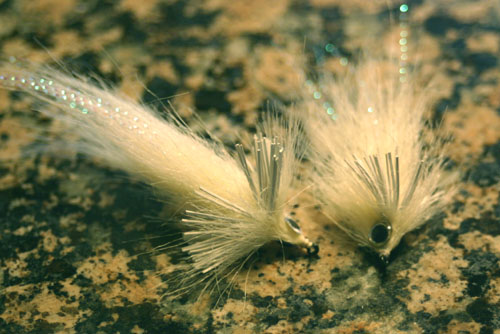 b0042548_7101313.jpg
