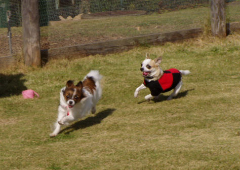 c0074156_23434955.jpg