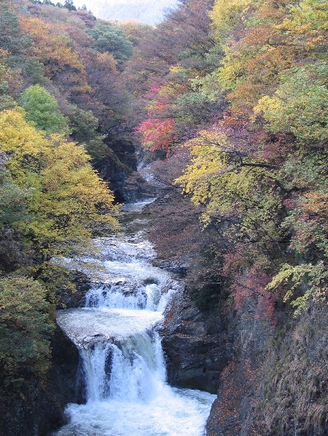 c0020059_1184792.jpg