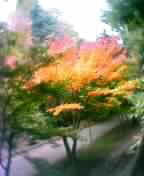 b0061261_20515418.jpg