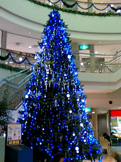 a0064865_1143430.jpg