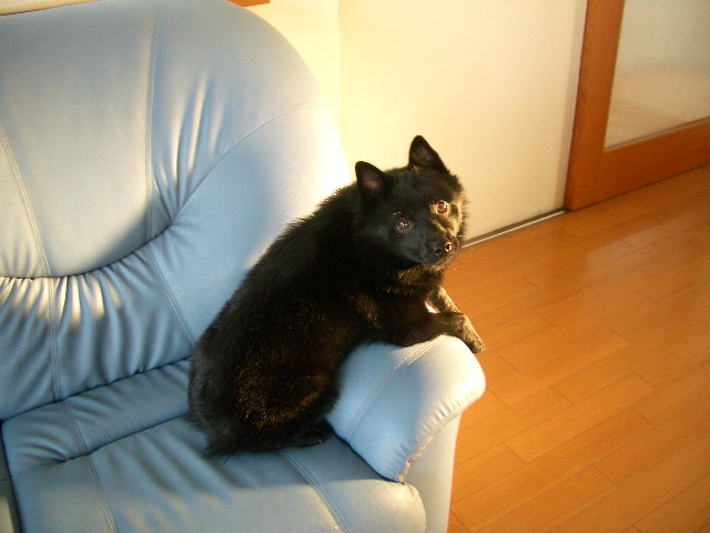 e0002466_2115942.jpg