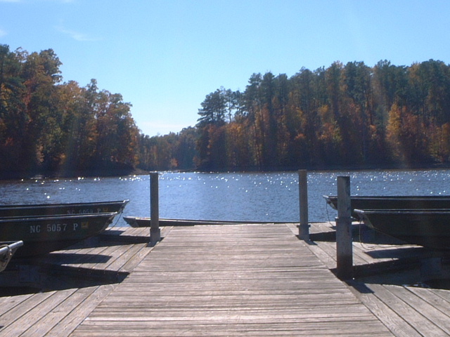 b0001284_6342180.jpg