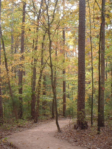 b0001284_6353050.jpg