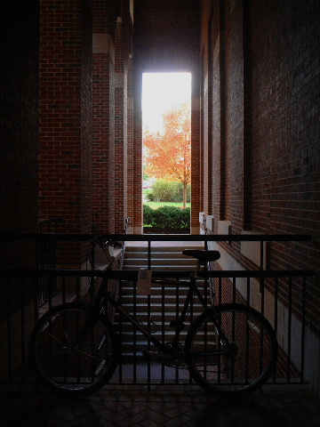 b0001284_635645.jpg