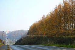 e0071185_20214088.jpg