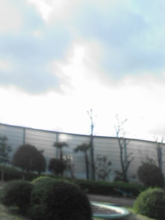 c0056903_20455416.jpg