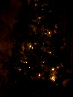 c0005619_225625.jpg