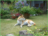 c0060620_785326.jpg