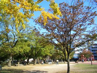 d0064424_1895551.jpg