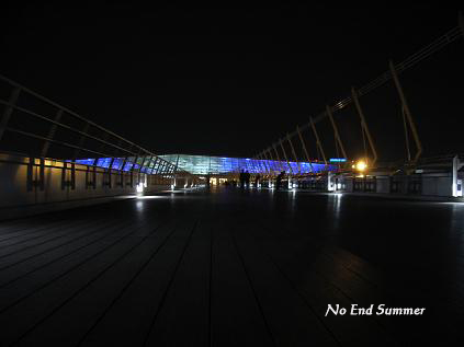 d0062725_2331614.jpg