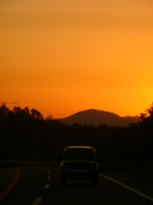 d0018131_2016596.jpg