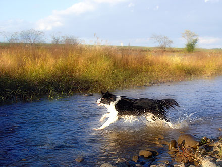 c0053844_174642.jpg