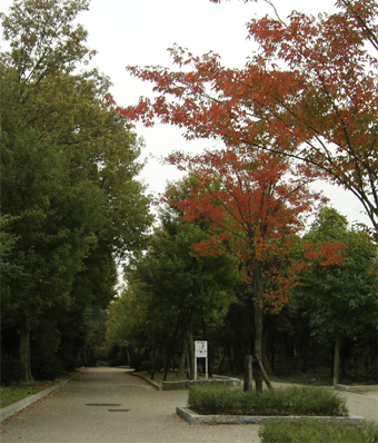 c0069552_14533917.jpg
