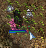 e0064653_20234180.jpg