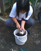 c0012180_14181047.jpg
