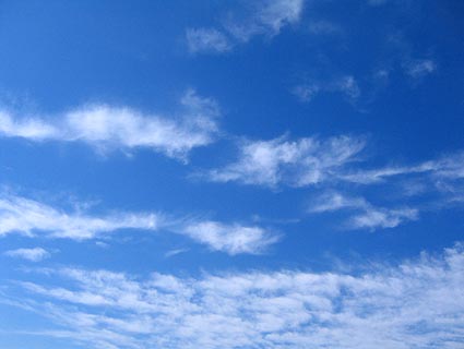 c0004193_14253968.jpg