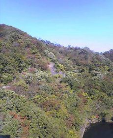 c0025593_21252863.jpg