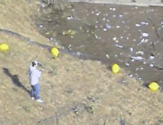 c0025593_21293729.gif