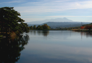 e0017393_7463357.jpg
