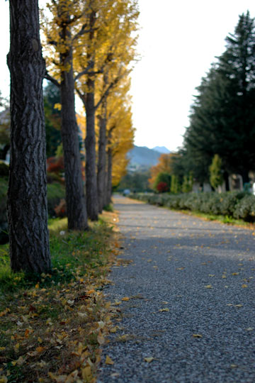 e0017393_7464944.jpg