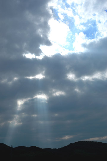 e0017393_7471062.jpg