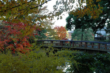 e0017393_7474250.jpg