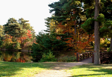 e0017393_7481956.jpg