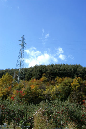 e0017393_748312.jpg