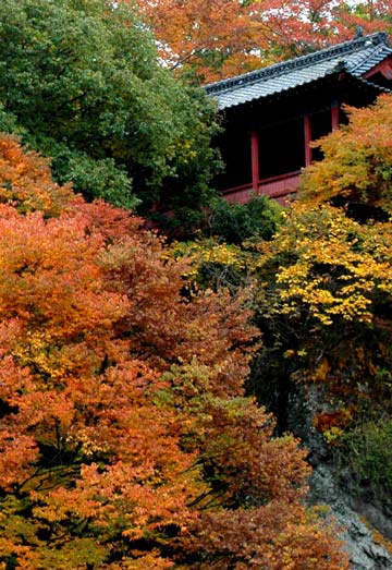 e0017393_748381.jpg
