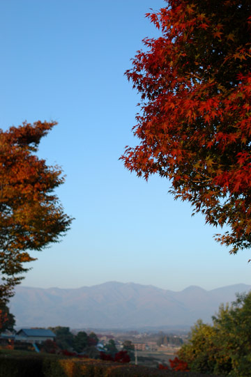e0017393_74867.jpg