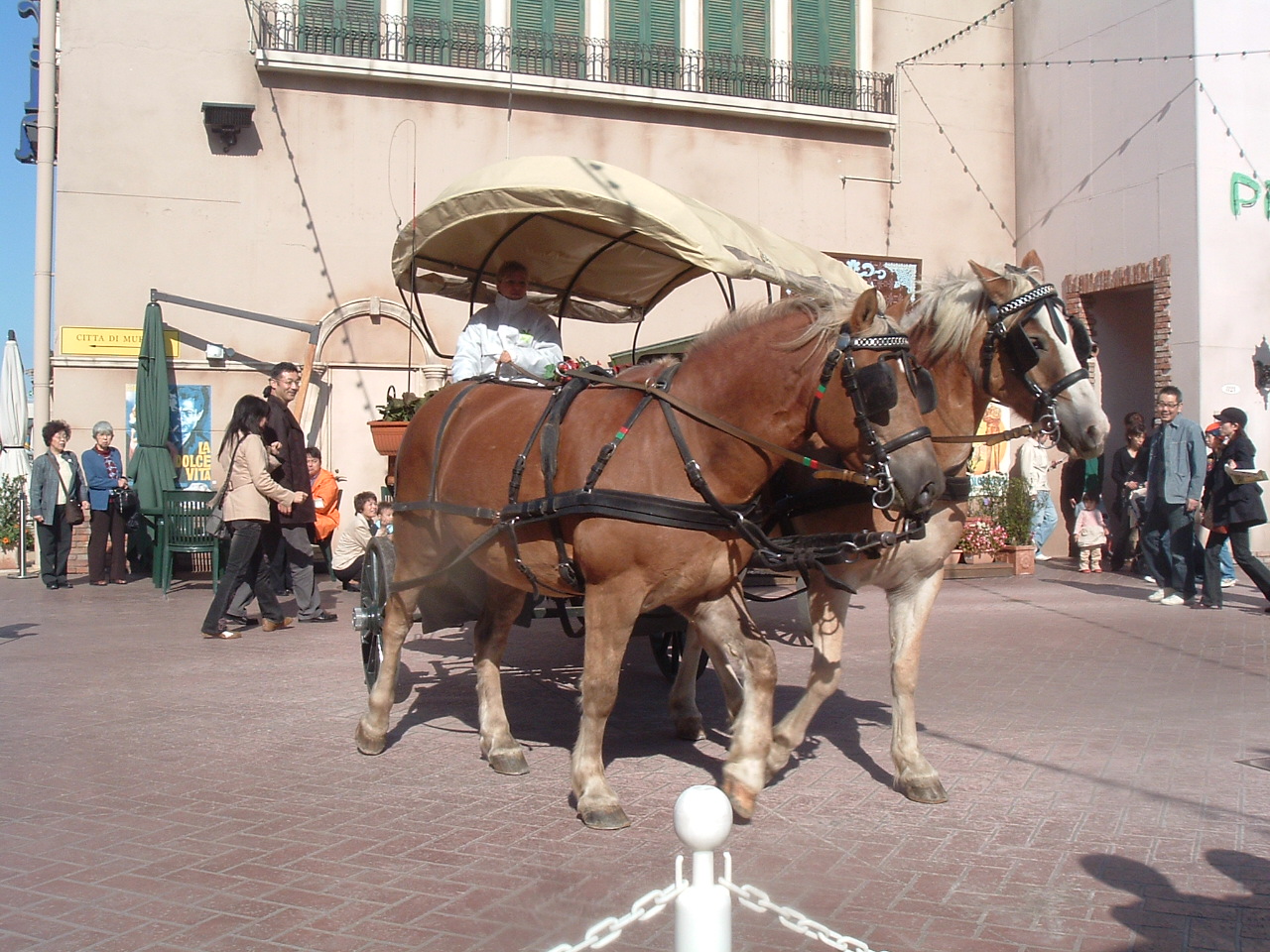 e0010302_17544655.jpg