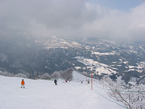 a0041508_033495.jpg