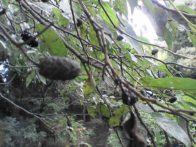 b0048509_5431839.jpg