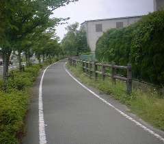 a0054016_11374956.jpg