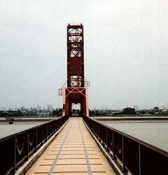 a0054016_11392297.jpg