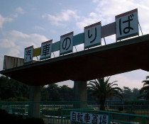 a0054016_12371279.jpg