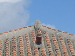 c0000816_20463741.jpg